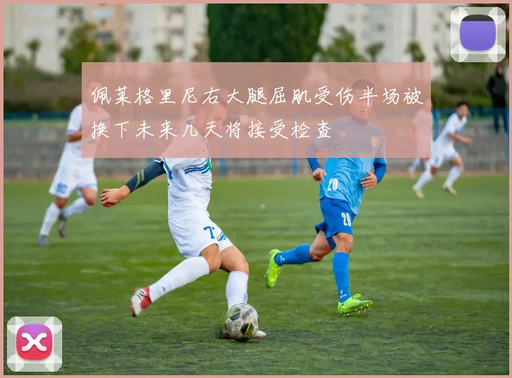 佩莱格里尼右大腿屈肌受伤半场被换下未来几天将接受检查