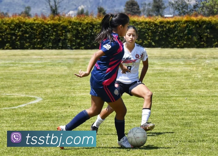 8868体育官网服务体系